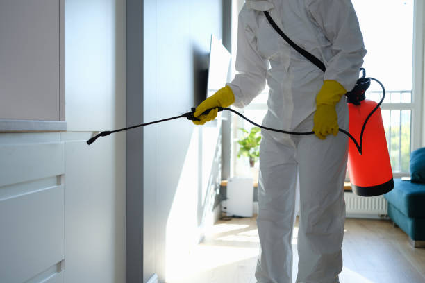 Best Asbestos and Lead Testing During Mold Inspection  in New Kingman Butler, AZ
